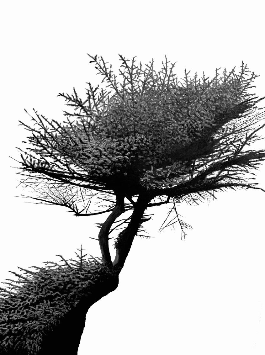 "Windblown" (2022) - Oil on Canvas 48"x36"x1.5" - Exclusively at TGCA